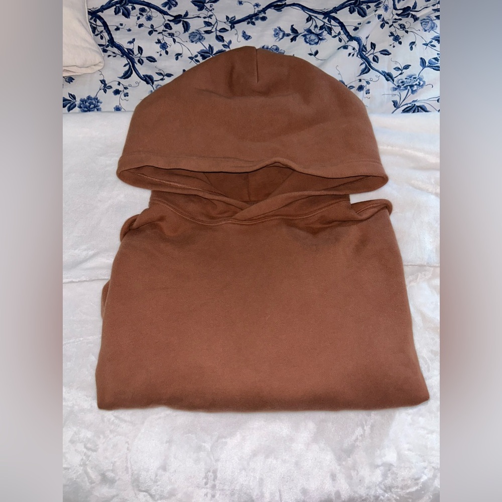 Aritzia Hoodie